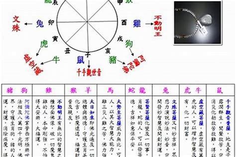 2003五行属什么|2003年是什么生肖 2003年属什么生肖属相